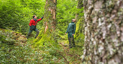 « Popote & Papote » battent la campagne charentaise
