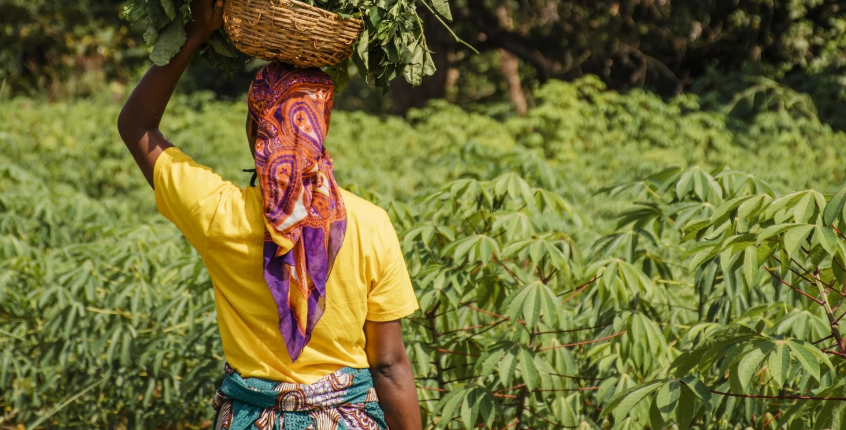 Outre-mer : s’adapter aux réalités locales