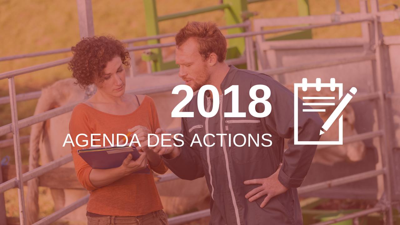 retour sur les actions 2018